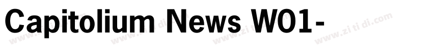 Capitolium News W01字体转换